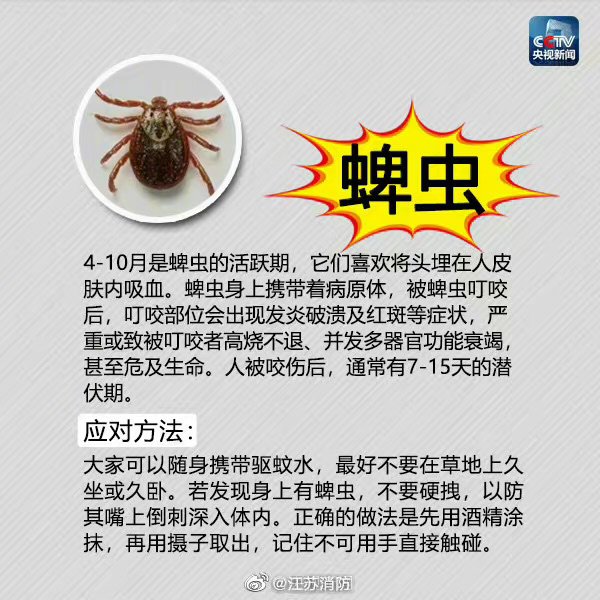 老东谈主头痛到撞墙一查验竟被蜱虫连吸了多日，大夫：取下时蜱虫仍在动